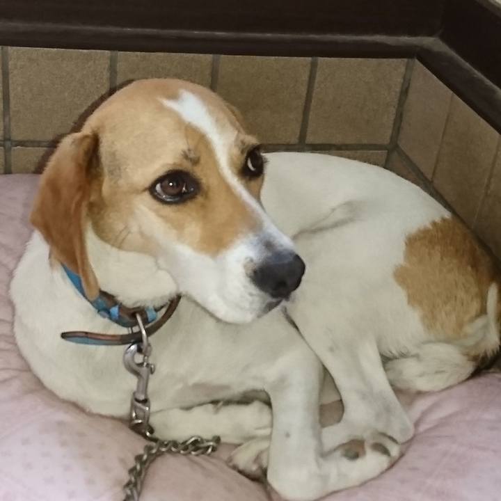 232ec818 7fe0 4470 8207 4da6dfb8e2da 1568252222512