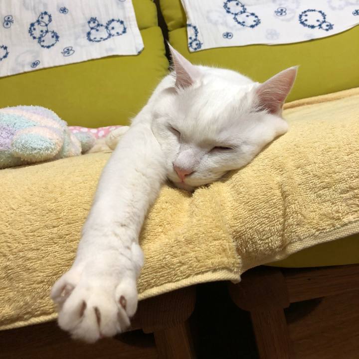 232f074c ca50 4f9a 8455 081bc97f12b0 1627102345834