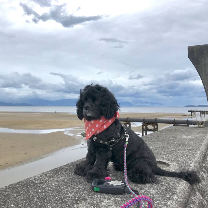 232f5382 a449 4058 a97a a34dca7e149c 1563619375522