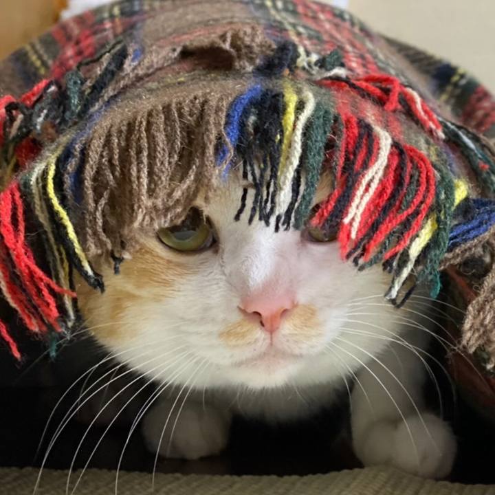 232f67a1 0399 40a4 9f4c 93b9cedfac83 1613537835560