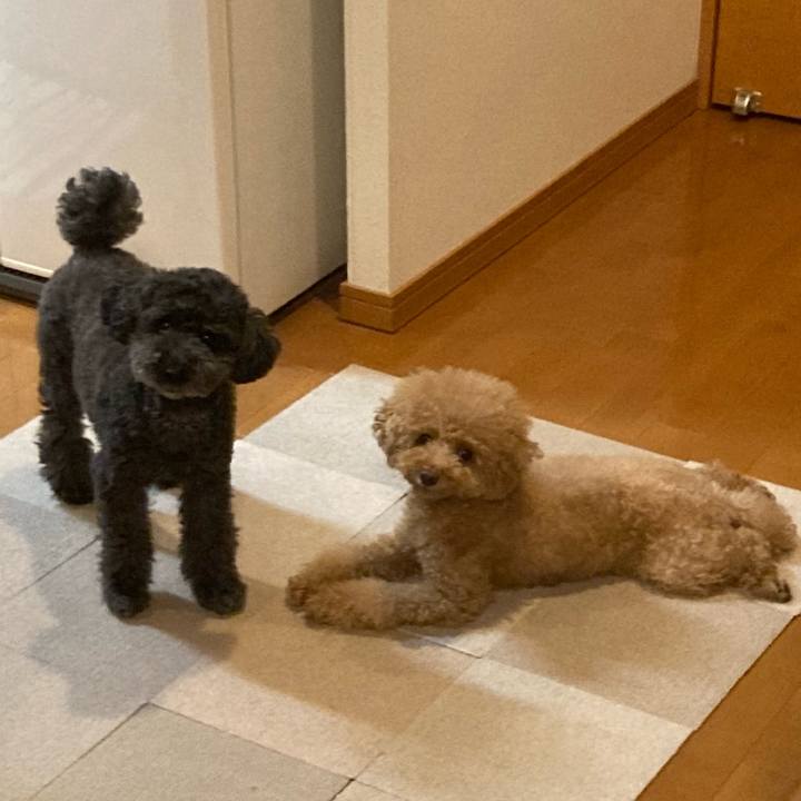 232f731b ca35 4708 b5fe 105e7ded8c45 1694949167162