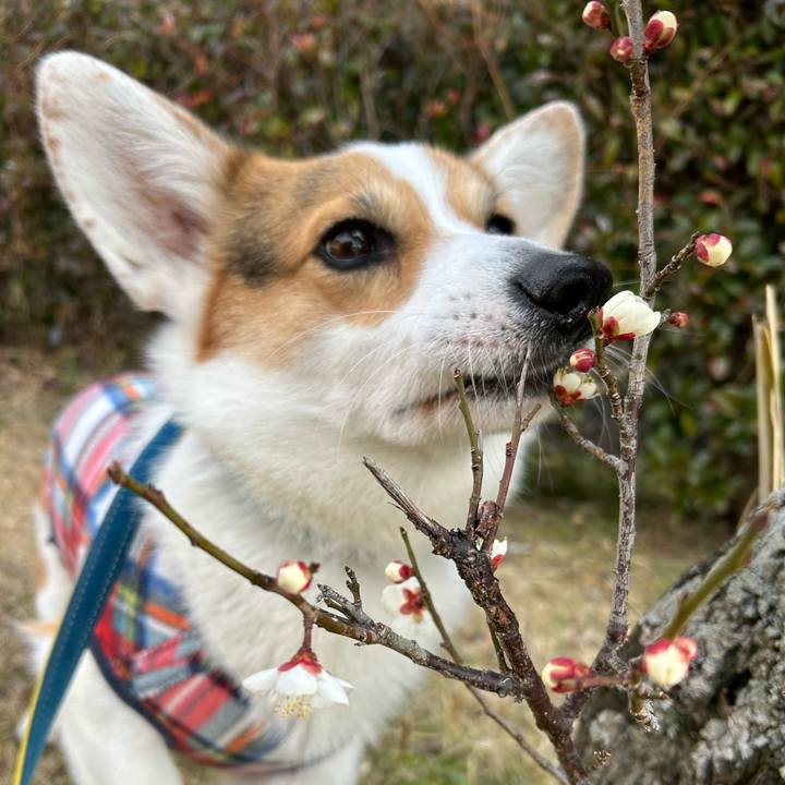 232f73ff 3963 4afa 8b22 acec457bb46f 1769996251451