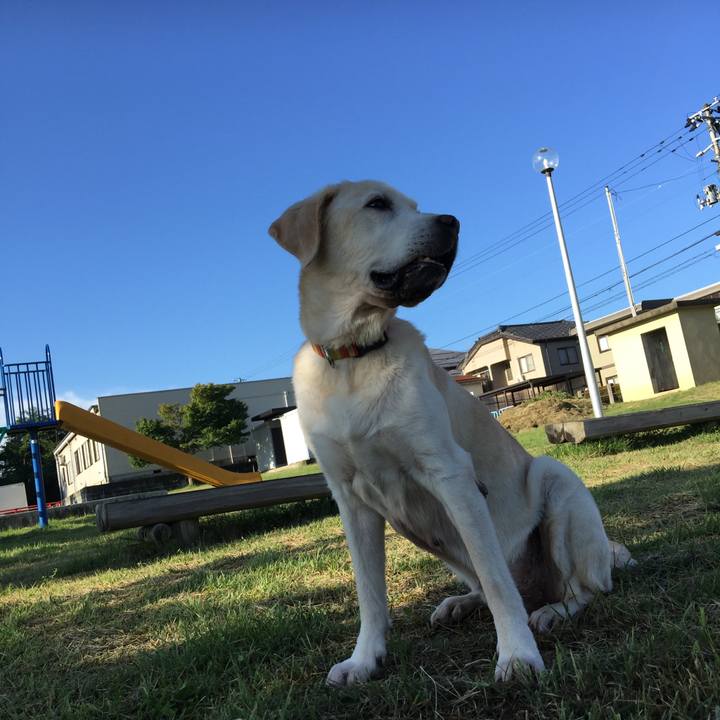 232fa884 0682 455d 9dfb ad8cceb85b82 1537312008894