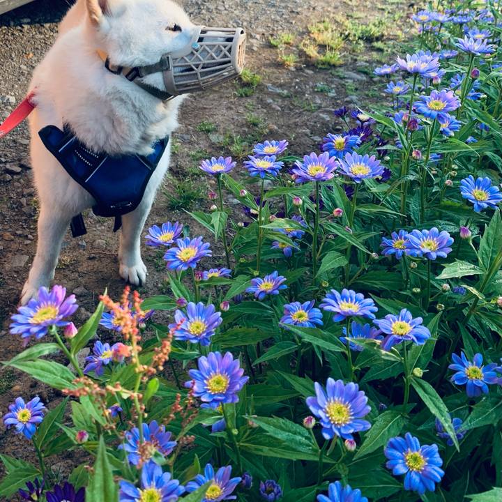 232fa95d 5622 424d adbc c1a801deec64 1623275799680