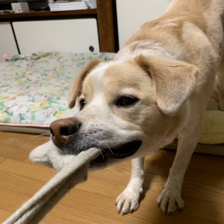 232fb3e2 1667 4d9a 95ae 8449412dae72 1560944797824