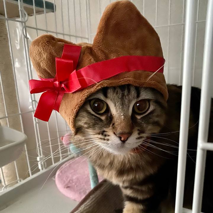 232fb97b ff15 45e0 b6a1 d119cdf83749 1604840961985