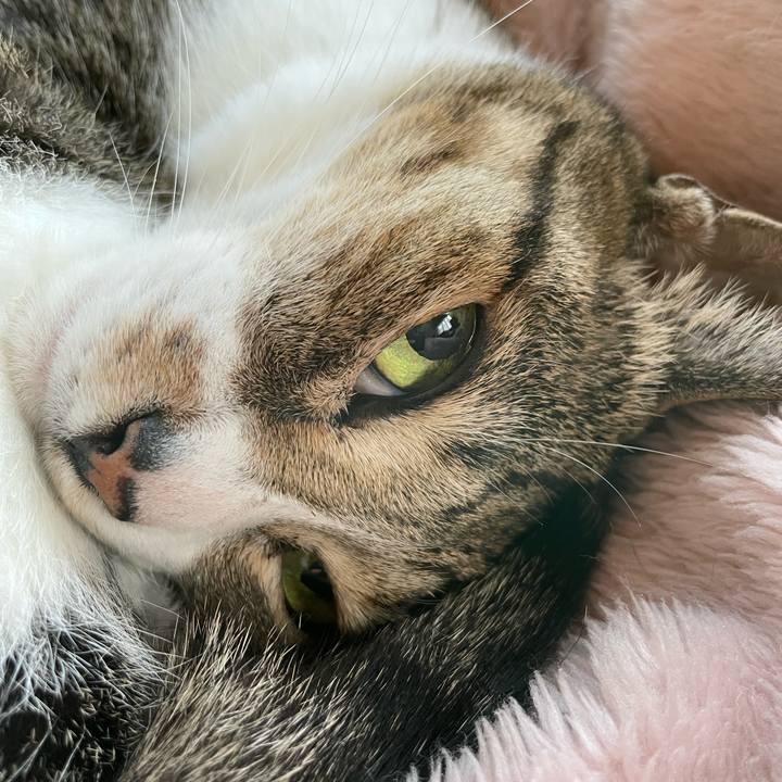 232ff8a2 811b 45f3 bb5e 9493847fd406 1636422246165