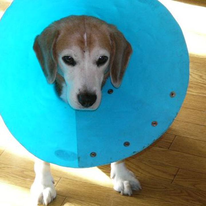 23300147 4061 4fa3 87a6 db7413050f82 1643939537886