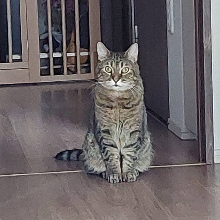 233006c4 c006 4a85 a719 59496348ed50 1729899276726