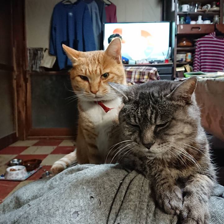 23301073 273d 48a7 8324 5ec33a7bebb9 1575289482606