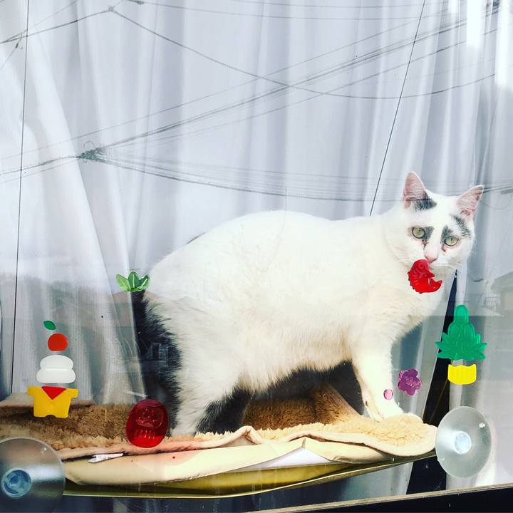 233039c3 d9ba 4bdc a896 0a5fbfa44d6e 1547495870185