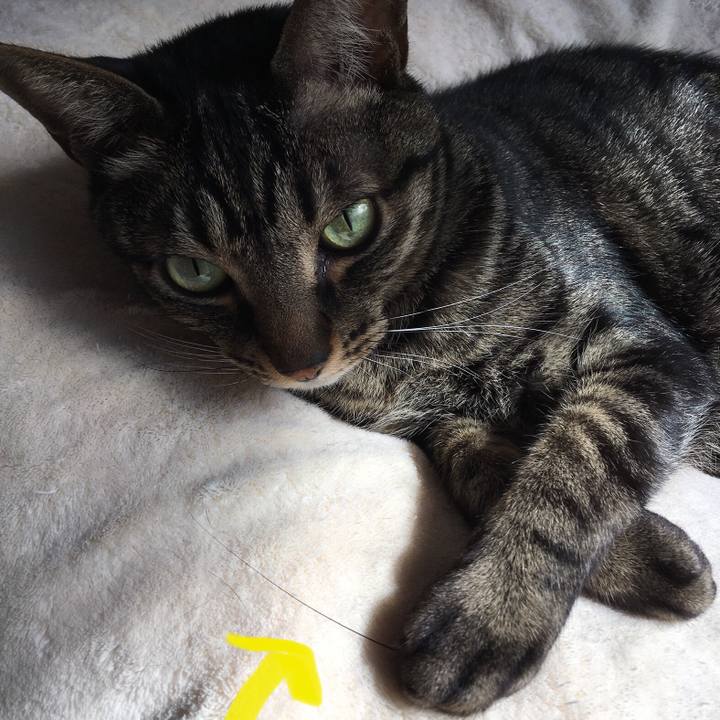 23303d87 b4df 44f6 820b a6ed47a8dd87 1584142937009