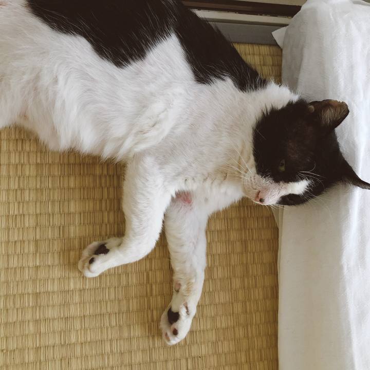 233048f4 3115 498d 8948 1e436f805665 1623812564914