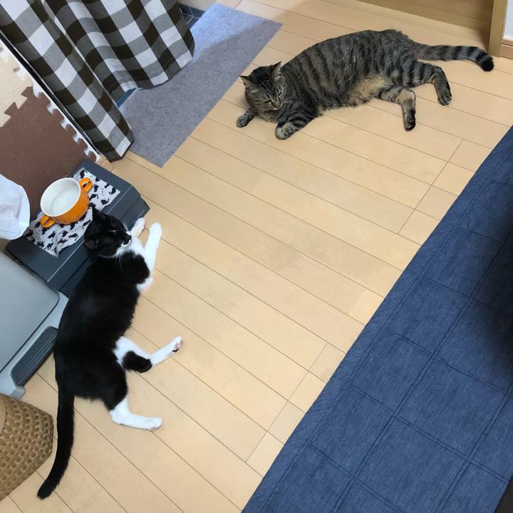 23305b2d 8396 4f4f b815 a04a48fbb8f2 1531705332626