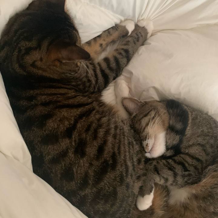 2330e1d3 fc12 4ed7 99da a21c502d8cc1 1602808516160