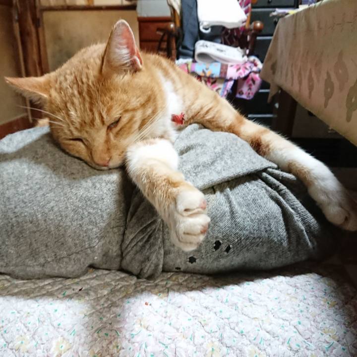 23311edd e1f8 45a7 aa19 b19722ef76bc 1574161380444