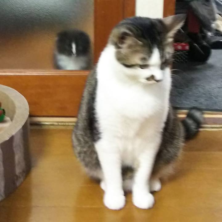 23312738 4065 473a a6a0 ec774ffda4c8 1638794994054