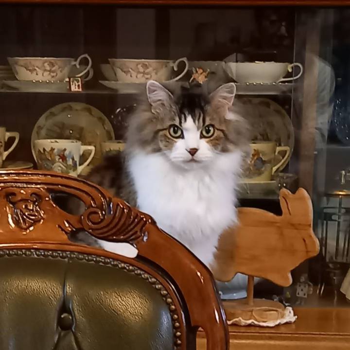 23313383 9c87 417c aa60 0292983a21b8 1680176858055