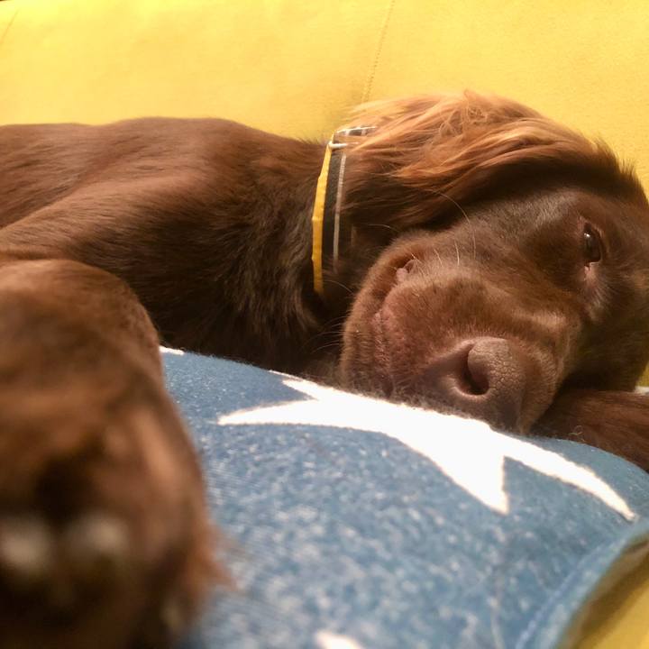 23315da6 1882 4998 b2eb 89ce60c210c7 1586214066547