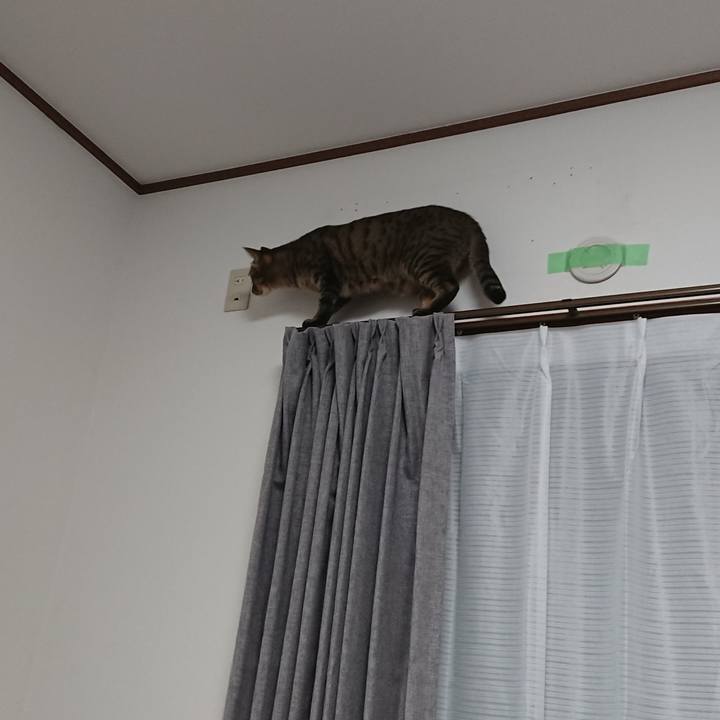 23316cde c57e 4603 accb f8d4ad540b91 1511269786395