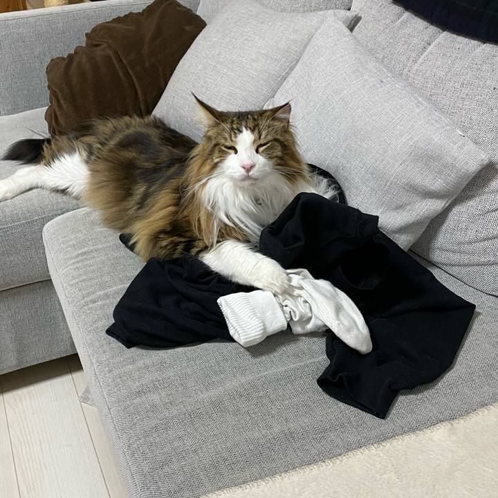 23319511 77d6 4ec9 81e3 a2a564f9bac1 1678789567425