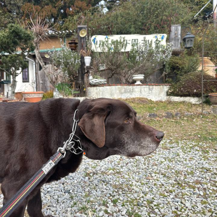 2331a4f4 9e70 4a8b 9052 53c219494f71 1773402204417