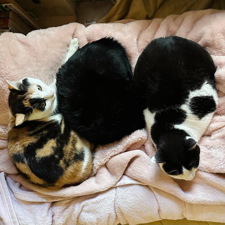 2331a980 3e54 4544 b3d5 5ca98de86176 1672962777008