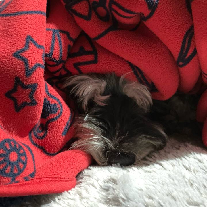 2331c39f 9e26 4dc1 ac0b c9c862d9a77c 1712841715223