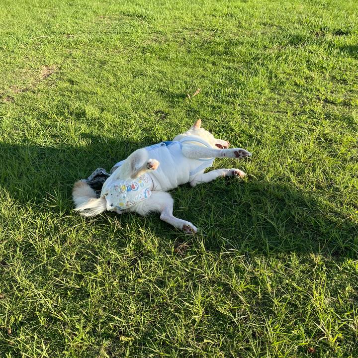 2331d270 4b0a 43b0 8327 8750e617e4fb 1663682787493