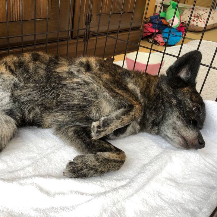 2331f815 d1b4 4d68 909b 8dc4eabc4ef8 1564981671228