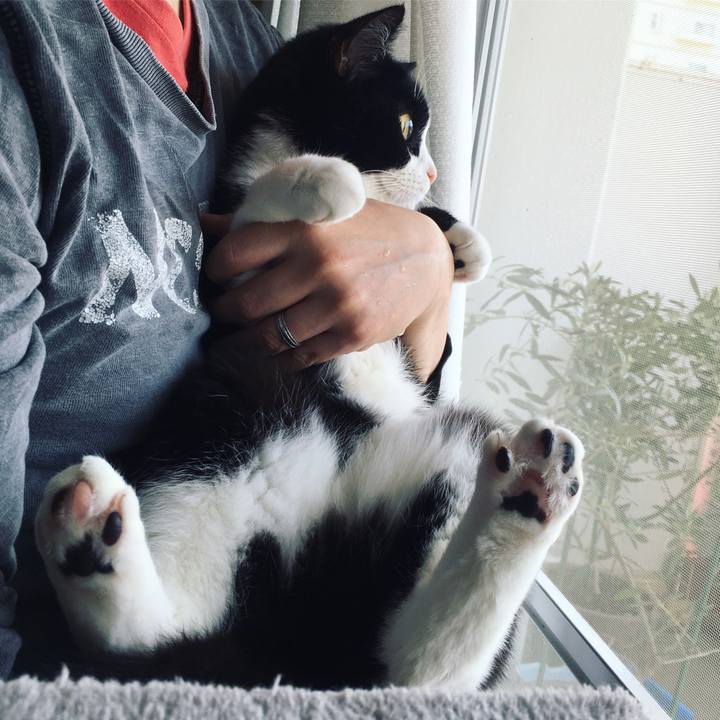 2331f9b0 83e0 412f b492 8bba73b289e8 1588728243728