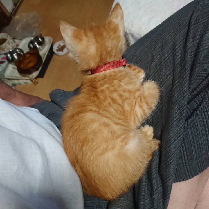 23322708 edfd 49b0 977a 8020371d11da 1628508350073