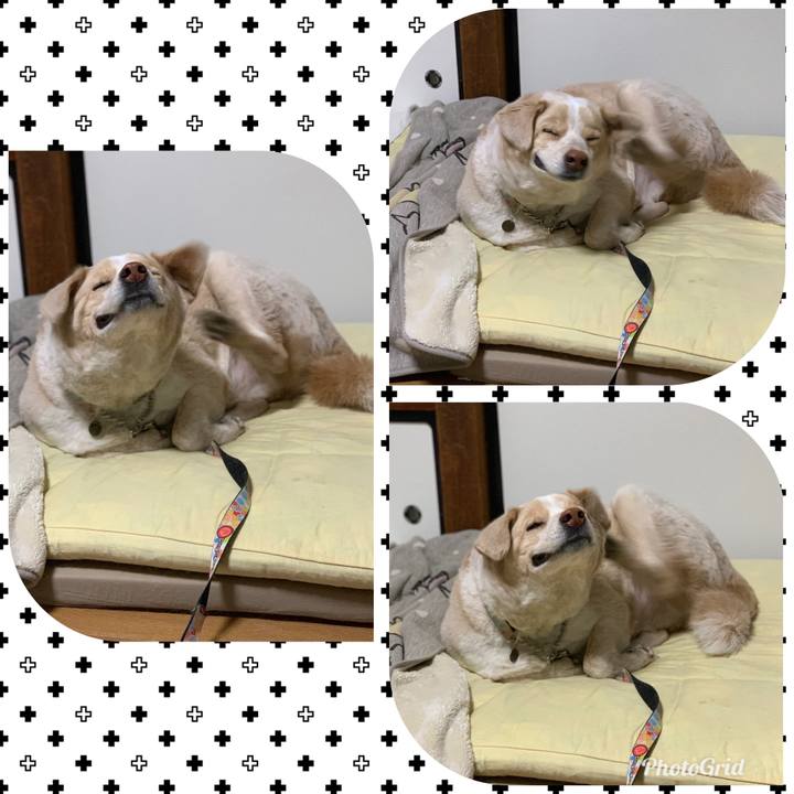 23322e2f 42b1 4fda ac33 be7b95bcff3c 1550227701567