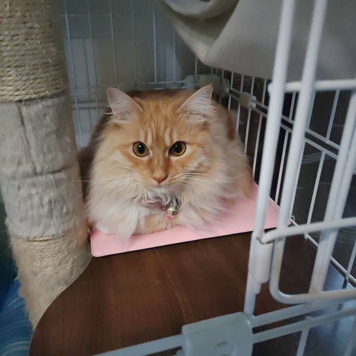 23323f9c 777e 42a4 986a 9025514cf437 1674794121261