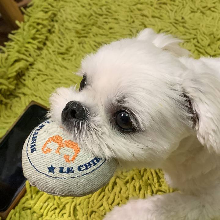 23328c15 317e 42ef 8561 4946f03722b9 1655459051118