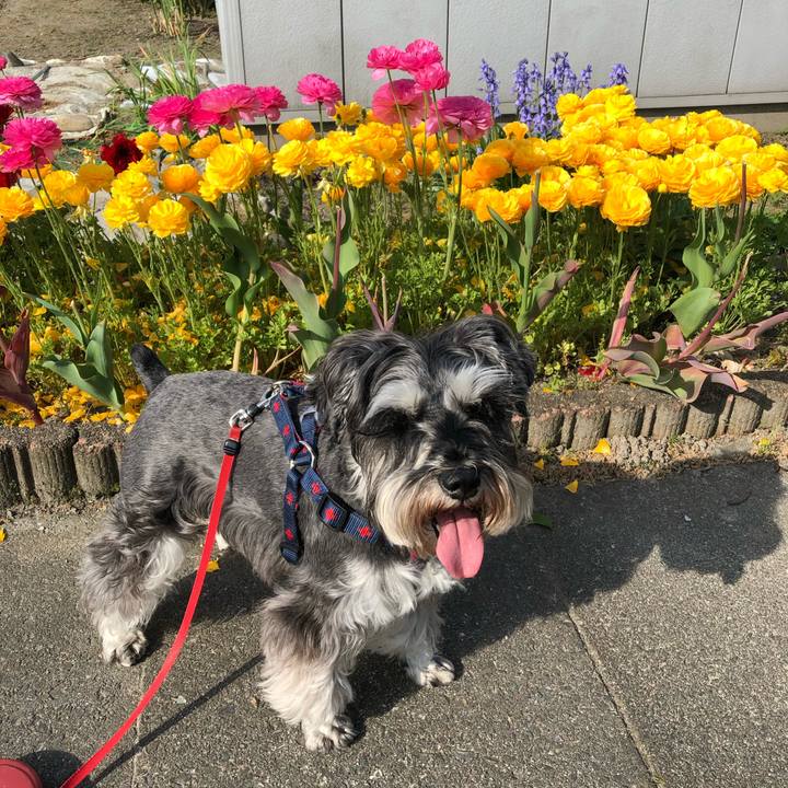 23329d96 469b 4e07 b3e0 0e4ef6c6a440 1621042328095