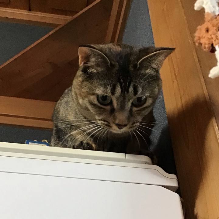 2332a8c8 8cce 4e7a 9be8 6ab3ca8e95d5 1629971359562