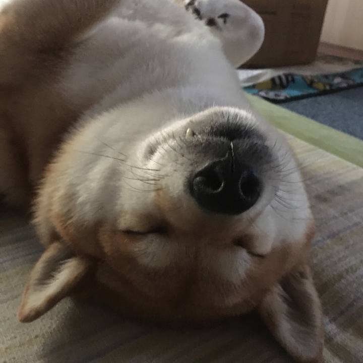 2332ab14 1657 4b76 9a04 3e425d17097a 1537512830149