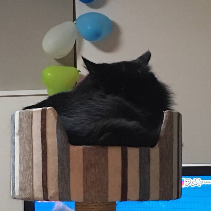 2332cf1b d046 4c86 ba4d 8967b635f0cc 1546171346889