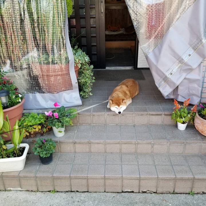 2332d38c 62b4 4722 bd40 8e843cfce4cd 1572226197915