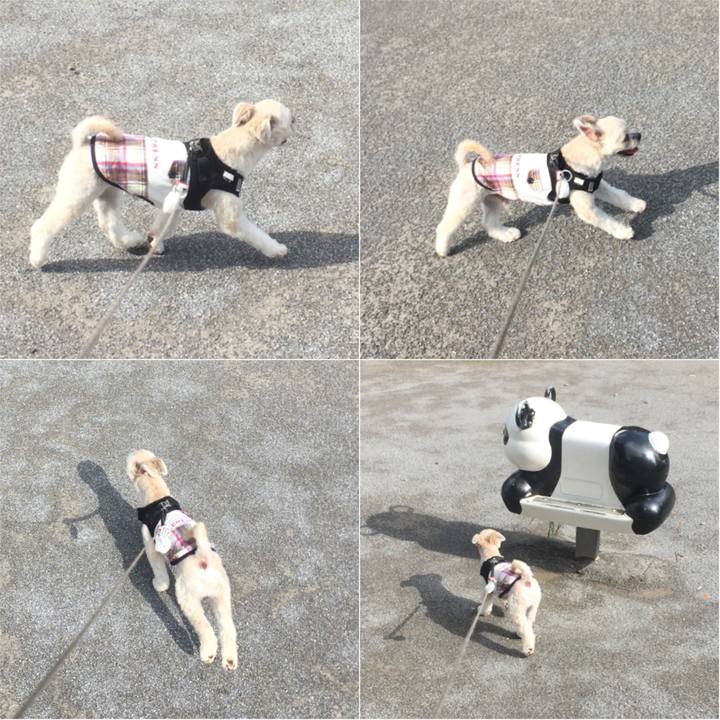 233340bb e4b1 483f 8e7c c7815aa37712 1534120985740