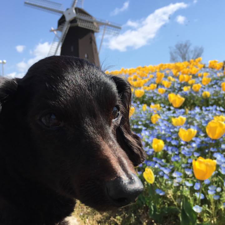 23338021 b99d 47e5 8158 64d6e91ada4c 1554773744270