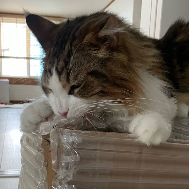 2333ad8c 6fe4 4e55 929d 8742cb8ba8d2 1658441008741