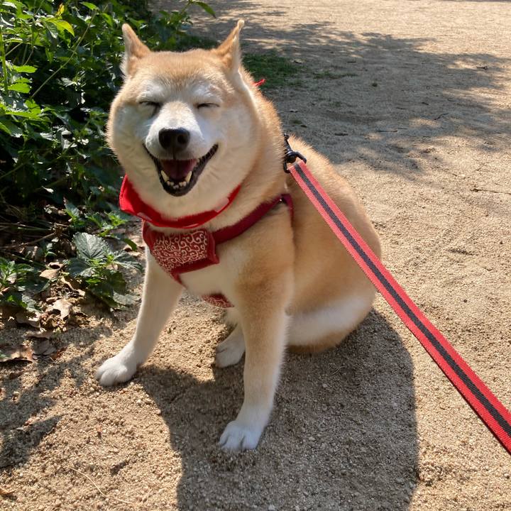 2333b893 367e 4793 883f 9749ad914e36 1653298176919