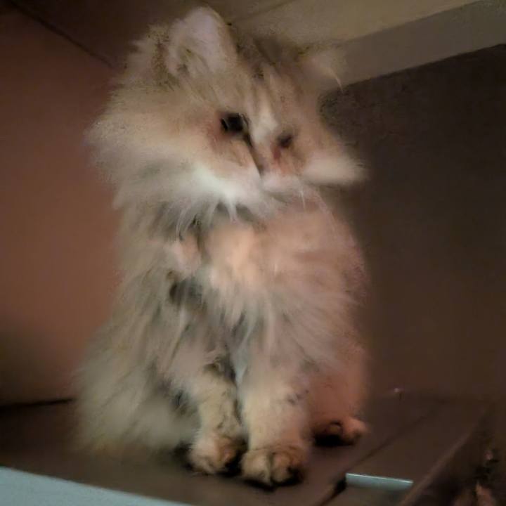 2333cbc3 16a5 45e1 bb6b f5c2266d27c8 1739747411114