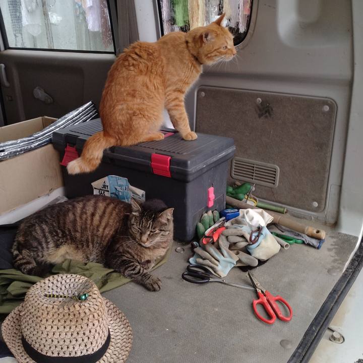 2333e2a6 229f 4cb5 85db 12c3090f6763 1721204847287