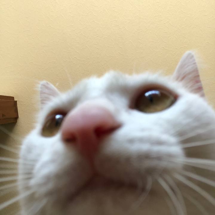 233405a5 7747 4e17 af4e f032ef085772 1601436952451