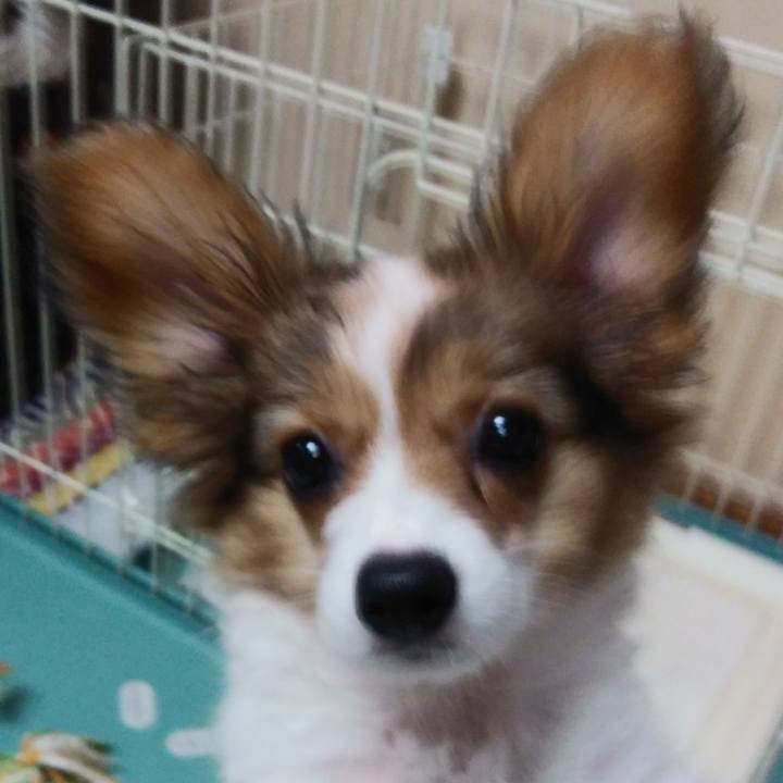 23341848 47fd 41d1 b692 4189f93c327c 1600942930802