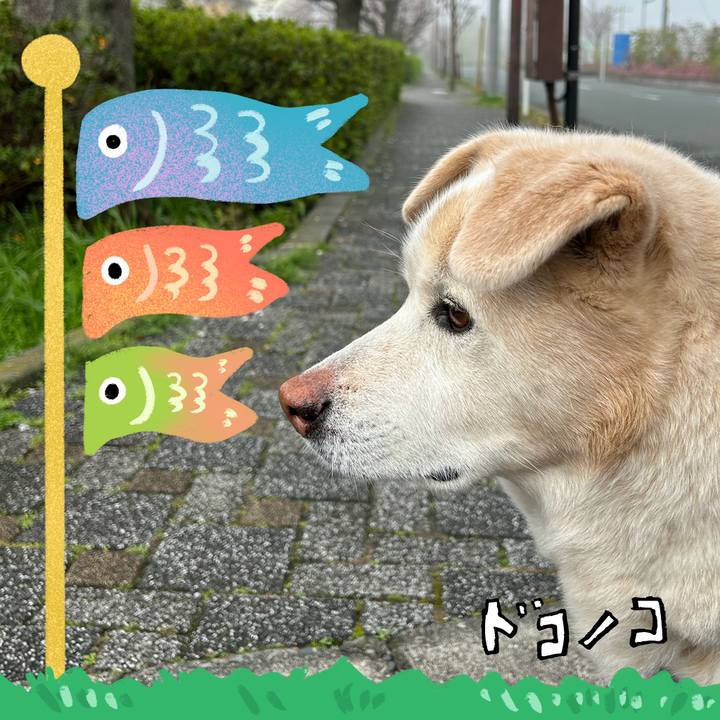 23342061 86ac 4387 a4d0 fc4e4bbf4e48 1714900294466