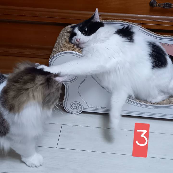 23342993 8ab6 46b0 b418 66cb166e9ffd 1620222556923